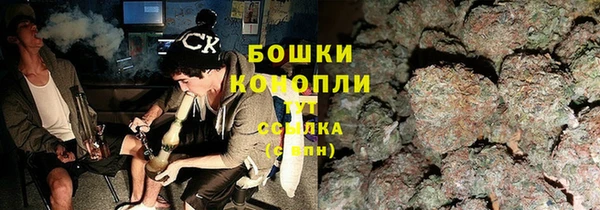 ПСИЛОЦИБИНОВЫЕ ГРИБЫ Алзамай
