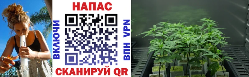 где можно купить площадка Telegram Конопля LSD WEED Беслан omg ССЫЛКА